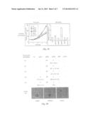 METHOD  FOR  PREPARING HUMAN  NEOPLASTICALLY  TRANSFORMED  CELLS diagram and image