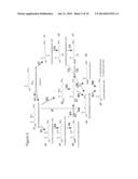 BIOLOGICAL SYNTHESIS OF DIFUNCTIONAL HEXANES AND PENTANES FROM     CARBOHYDRATE FEEDSTOCKS diagram and image