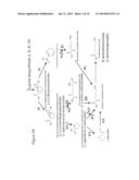 BIOLOGICAL SYNTHESIS OF DIFUNCTIONAL HEXANES AND PENTANES FROM     CARBOHYDRATE FEEDSTOCKS diagram and image