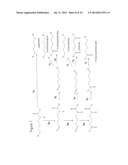 BIOLOGICAL SYNTHESIS OF DIFUNCTIONAL HEXANES AND PENTANES FROM     CARBOHYDRATE FEEDSTOCKS diagram and image