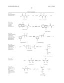 BIOLOGICAL SYNTHESIS OF DIFUNCTIONAL HEXANES AND PENTANES FROM     CARBOHYDRATE FEEDSTOCKS diagram and image