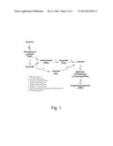 Dehydrogenase Variants and Polynucleotides Encoding Same diagram and image