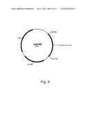 Dehydrogenase Variants and Polynucleotides Encoding Same diagram and image