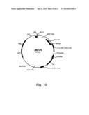 Dehydrogenase Variants and Polynucleotides Encoding Same diagram and image