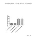 MICROFABRICATED POLYMERIC VESSEL MIMETICS diagram and image