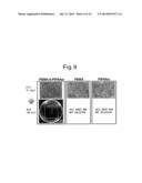 TEMPERATURE-RESPONSIVE SUBSTRATE FOR CELL CULTURE AND PRODUCTION METHOD     THEREOF diagram and image