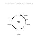 Methods For Producing Multiple Recombinant Polypeptides In A Filamentous     Fungal Host Cell diagram and image