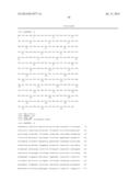 Methods For Producing Multiple Recombinant Polypeptides In A Filamentous     Fungal Host Cell diagram and image