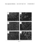 HIGH ACTIVITY OLEFIN POLYMERIZATION CATALYST COMPRISING BORON-CONTAINING     SILICA SUPPORT AND THE PREPARATION THEREOF diagram and image