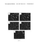 HIGH ACTIVITY OLEFIN POLYMERIZATION CATALYST COMPRISING BORON-CONTAINING     SILICA SUPPORT AND THE PREPARATION THEREOF diagram and image