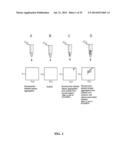 PLAQUE ARRAY METHODS AND COMPOSITIONS FOR FORMING AND DETECTING PLAQUES diagram and image