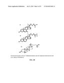 PLAQUE ARRAY METHODS AND COMPOSITIONS FOR FORMING AND DETECTING PLAQUES diagram and image