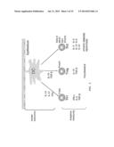 HIGH-THROUGHPUT ASSESSMENT METHOD FOR CONTACT HYPERSENSITIVITY diagram and image