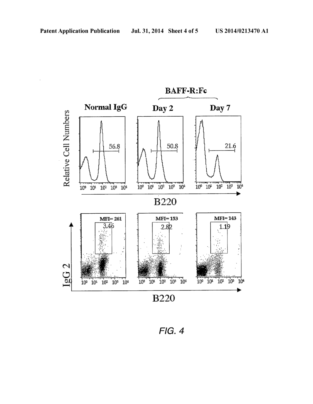 METHODS FOR USE WITH BAFF ANTAGONISTS - diagram, schematic, and image 05