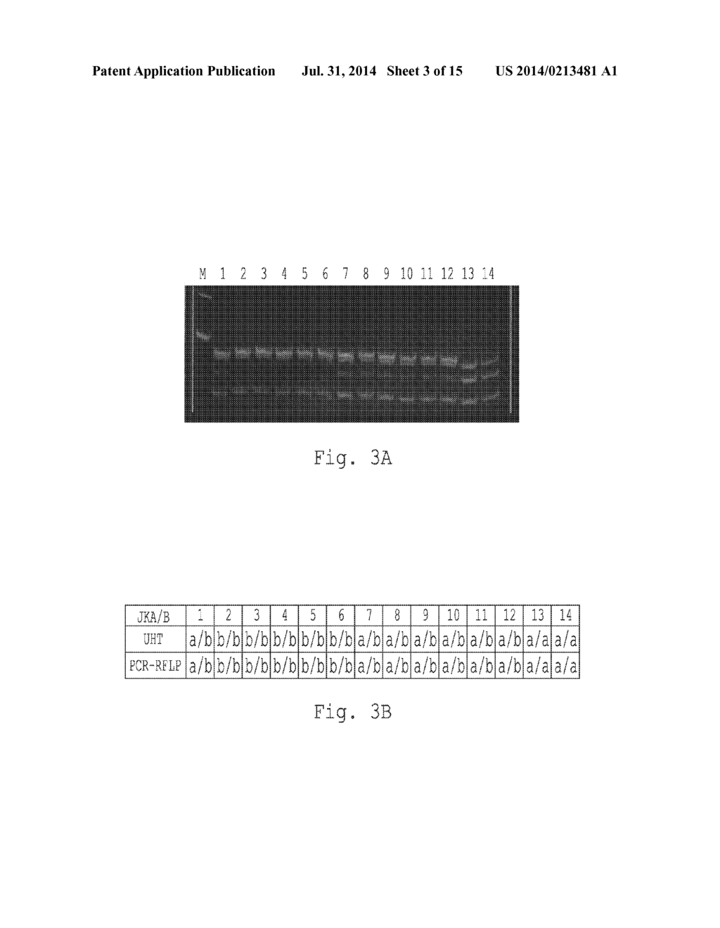 METHOD FOR THE SIMULTANEOUS DETERMINATION OF BLOOD GROUP AND PLATELET     ANTIGEN GENOTYPES - diagram, schematic, and image 04