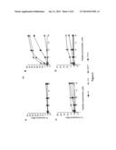 CHEMICAL MODIFICATION OF APOLIPOPROTEIN MIMETIC PEPTIDES FOR THE     PRODUCTION OF THERAPEUTIC AGENTS diagram and image