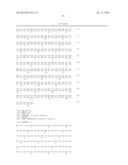 Method of Treating or Ameliorating Type 1 Diabetes Using FGF21 diagram and image