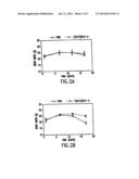 METHODS OF ENHANCING FUNCTIONING OF THE LARGE INTESTINE diagram and image