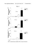 Fibrosuppressant Biotherapeutics diagram and image