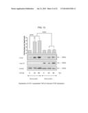 Fibrosuppressant Biotherapeutics diagram and image