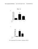 Fibrosuppressant Biotherapeutics diagram and image