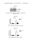 Fibrosuppressant Biotherapeutics diagram and image