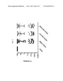 PSEUDOMONAS EXOTOXIN A WITH LESS IMMUNOGENIC B CELL EPITOPES diagram and image