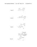 COMPOSITIONS AND METHODS FOR ENHANCING DRUG DELIVERY ACROSS AND INTO     EPITHELIAL TISSUES diagram and image