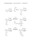 COMPOSITIONS AND METHODS FOR ENHANCING DRUG DELIVERY ACROSS AND INTO     EPITHELIAL TISSUES diagram and image