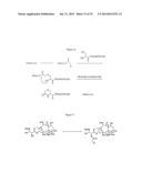 COMPOSITIONS AND METHODS FOR ENHANCING DRUG DELIVERY ACROSS AND INTO     EPITHELIAL TISSUES diagram and image