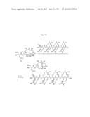 COMPOSITIONS AND METHODS FOR ENHANCING DRUG DELIVERY ACROSS AND INTO     EPITHELIAL TISSUES diagram and image