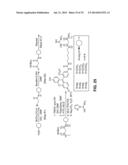 COMPOSITIONS AND METHODS FOR ENHANCING DRUG DELIVERY ACROSS AND INTO     EPITHELIAL TISSUES diagram and image