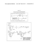 COMPOSITIONS AND METHODS FOR ENHANCING DRUG DELIVERY ACROSS AND INTO     EPITHELIAL TISSUES diagram and image