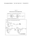 COMPOSITIONS AND METHODS FOR ENHANCING DRUG DELIVERY ACROSS AND INTO     EPITHELIAL TISSUES diagram and image