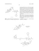 COMPOSITIONS AND METHODS FOR ENHANCING DRUG DELIVERY ACROSS AND INTO     EPITHELIAL TISSUES diagram and image