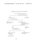 NOVEL FLAVONOL COMPOUNDS, COMPOSITIONS THEREOF AND METHOD FOR TREATING     BONE DISORDERS diagram and image