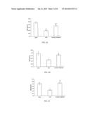 NOVEL FLAVONOL COMPOUNDS, COMPOSITIONS THEREOF AND METHOD FOR TREATING     BONE DISORDERS diagram and image