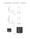 NOVEL FLAVONOL COMPOUNDS, COMPOSITIONS THEREOF AND METHOD FOR TREATING     BONE DISORDERS diagram and image