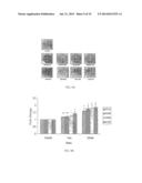 NOVEL FLAVONOL COMPOUNDS, COMPOSITIONS THEREOF AND METHOD FOR TREATING     BONE DISORDERS diagram and image