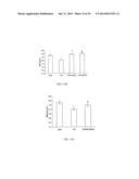 NOVEL FLAVONOL COMPOUNDS, COMPOSITIONS THEREOF AND METHOD FOR TREATING     BONE DISORDERS diagram and image