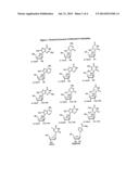 MODIFIED 2  AND 3 -NUCLEOSIDE PRODRUGS FOR TREATING FLAVIVIRIDAE     INFECTIONS diagram and image