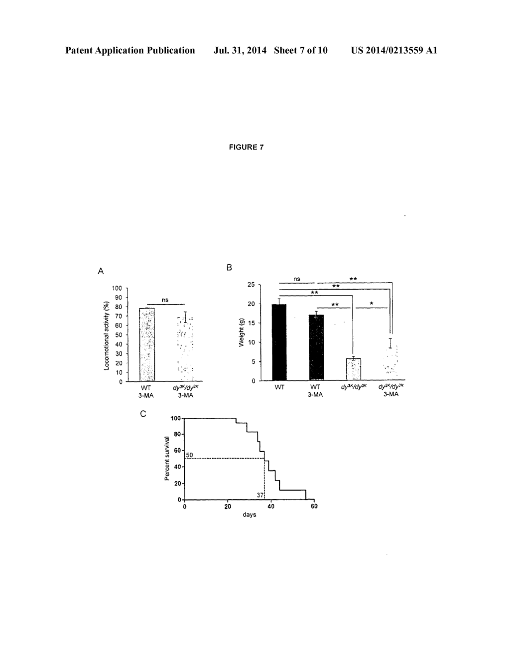 COMPOSITIONS AND TREATMENTS FOR DYSTROPHIES - diagram, schematic, and image 08