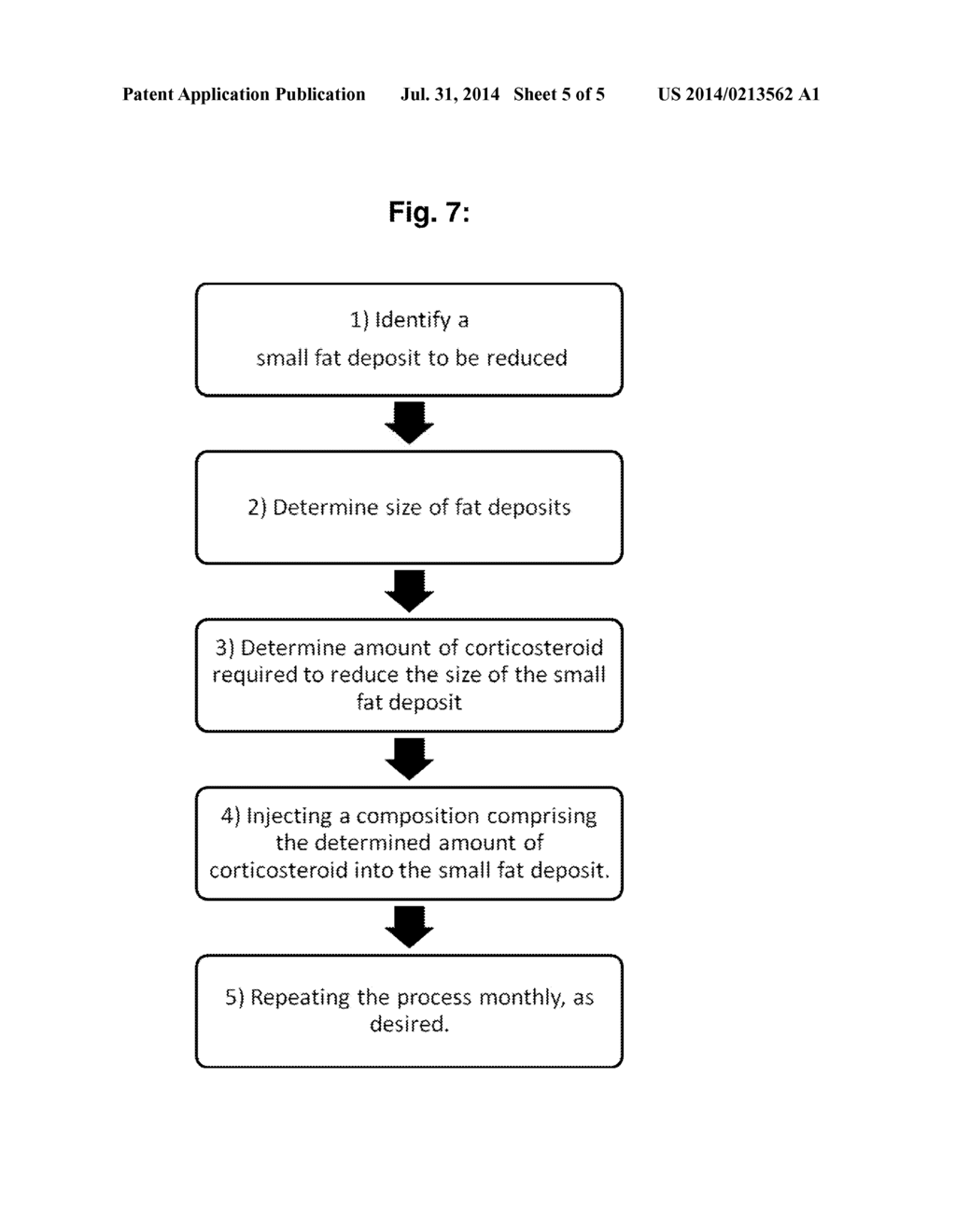 MEDICINAL COSMETIC LIPOATROPHY - diagram, schematic, and image 06