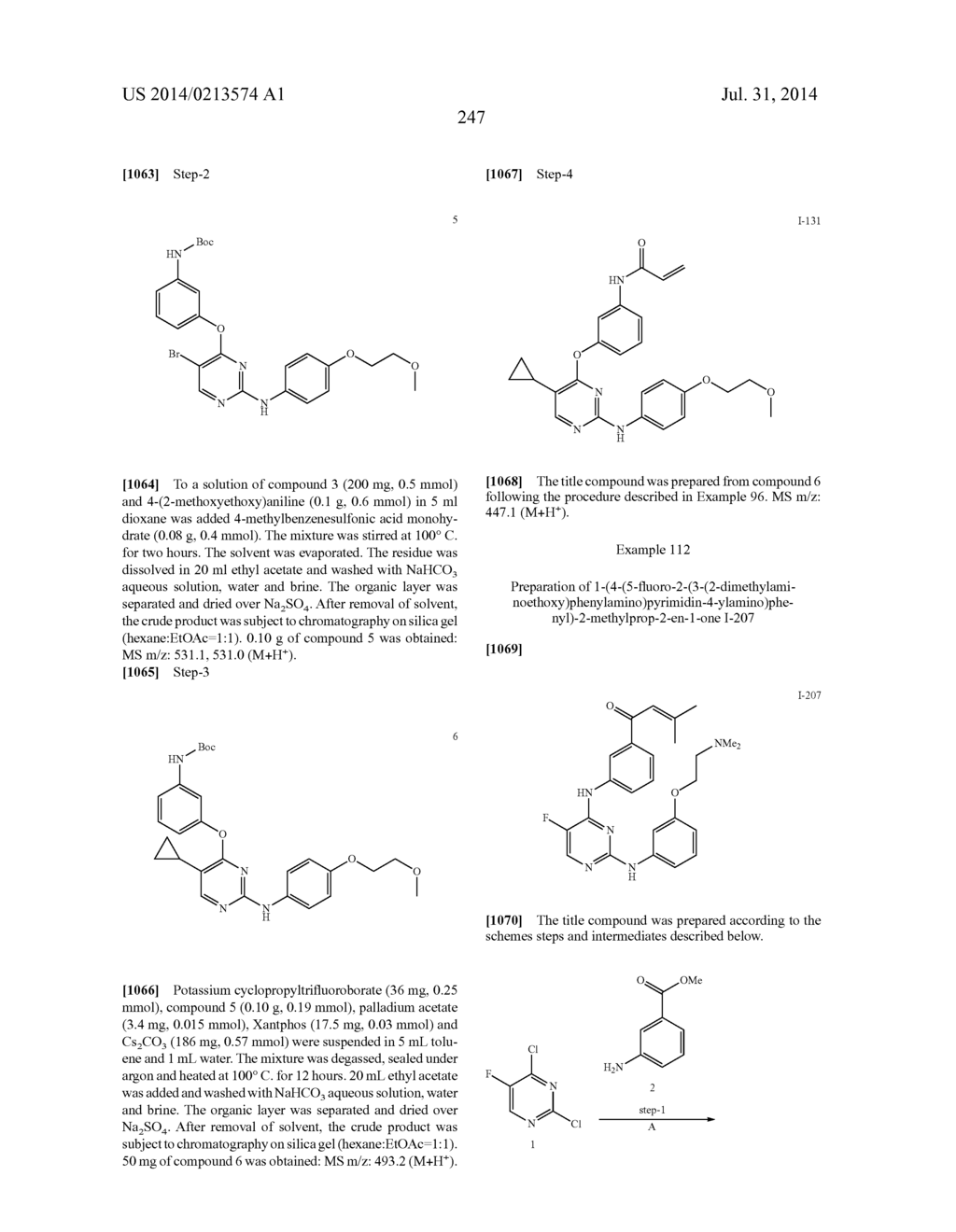 HETEROARYL COMPOUNDS AND USES THEREOF - diagram, schematic, and image 277