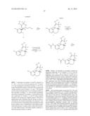 FUSED MULTI-CYCLIC SULFONE COMPOUNDS AS INHIBITORS OF BETA-SECRETASE AND     METHODS OF USE THEREOF diagram and image