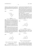 FUSED MULTI-CYCLIC SULFONE COMPOUNDS AS INHIBITORS OF BETA-SECRETASE AND     METHODS OF USE THEREOF diagram and image