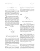 FUSED MULTI-CYCLIC SULFONE COMPOUNDS AS INHIBITORS OF BETA-SECRETASE AND     METHODS OF USE THEREOF diagram and image