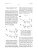 FUSED MULTI-CYCLIC SULFONE COMPOUNDS AS INHIBITORS OF BETA-SECRETASE AND     METHODS OF USE THEREOF diagram and image