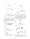 HYDROXYPHENYL DERIVATIVES AND BIOLOGICAL APPLICATIONS THEREOF diagram and image