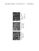 PROTEIN KINASE C AS A TARGET FOR THE TREATMENT OF RESPIRATORY SYNCYTIAL     VIRUS diagram and image